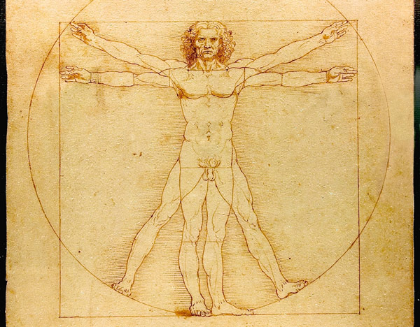 Homo vitruviano drawing "Vitruvian Man"