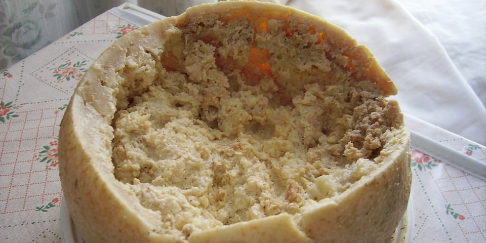 Casu Marzu Sardinian typical cheese