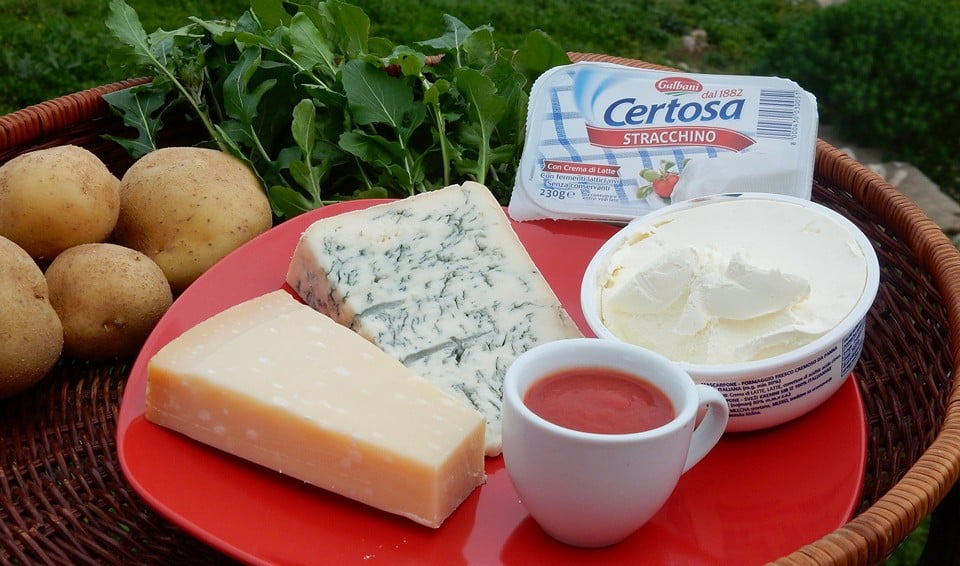Gorgonzola is obtained as a result of an oversight in the preparation of stracchino