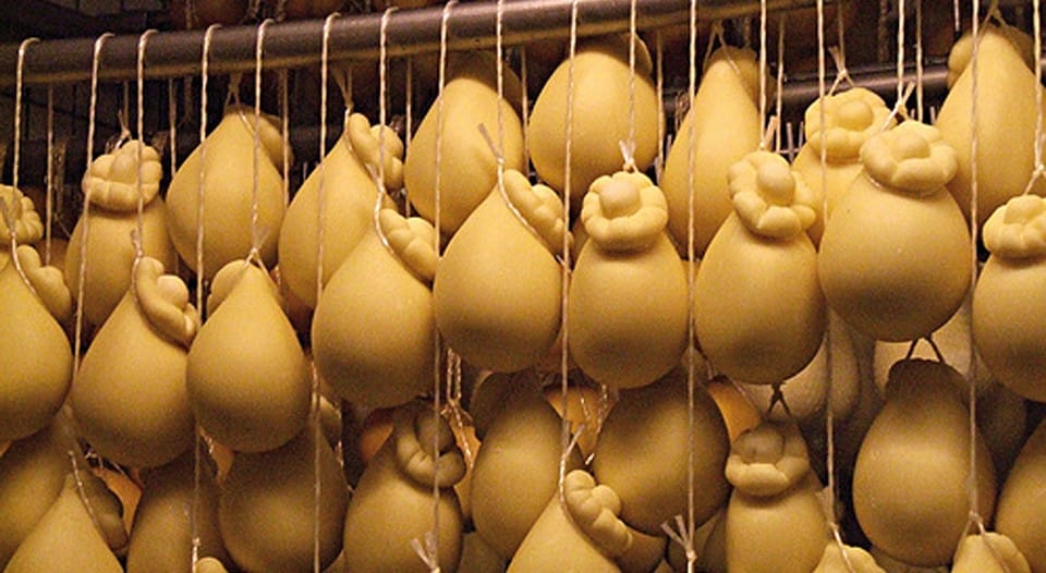 Scamorza cheese cooking