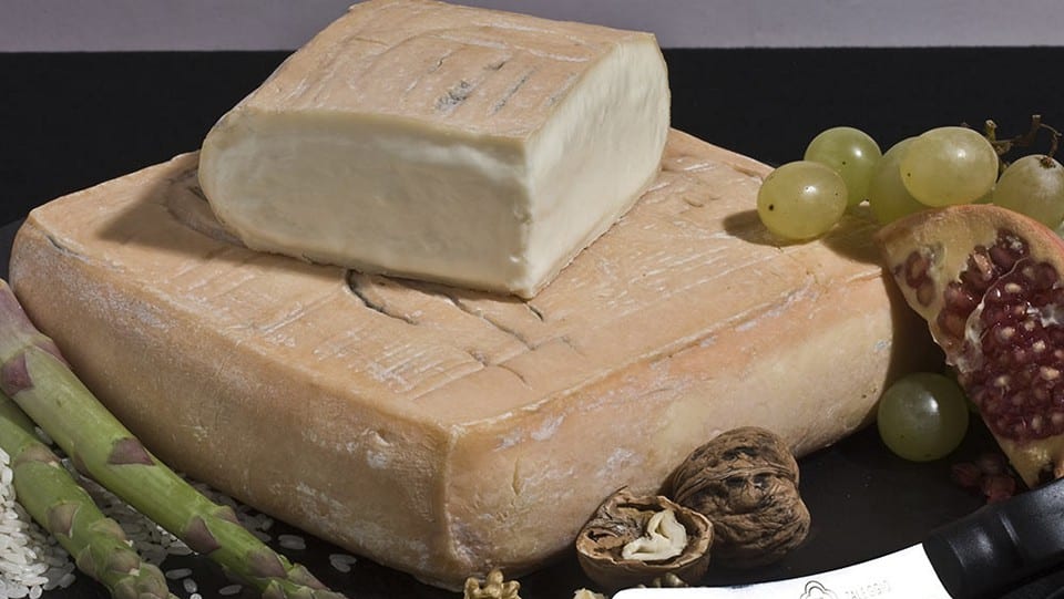Taleggio - the cheese son of stracchino