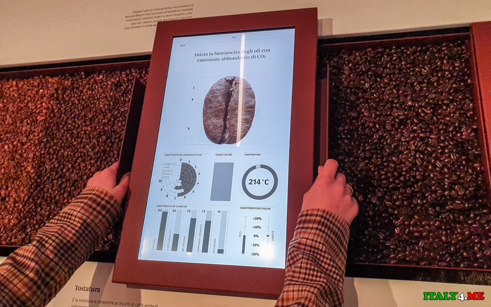 coffee plantation at the Lavazza Museum in Turin