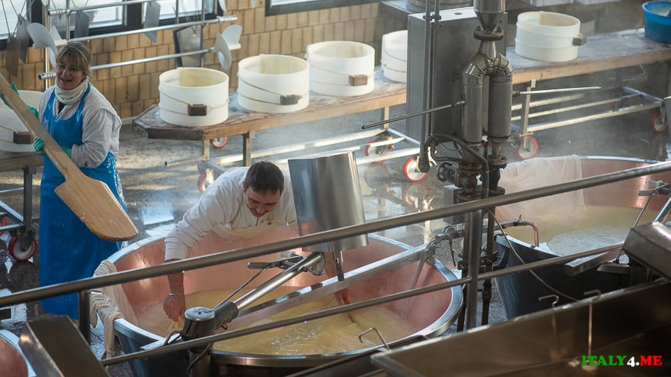 Italian cheese makers at the production of Parmigiano Reggiano cheese