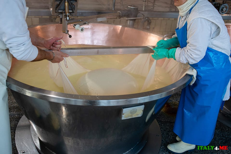 The rise of the curd mass in the production of Parmesan in Italy