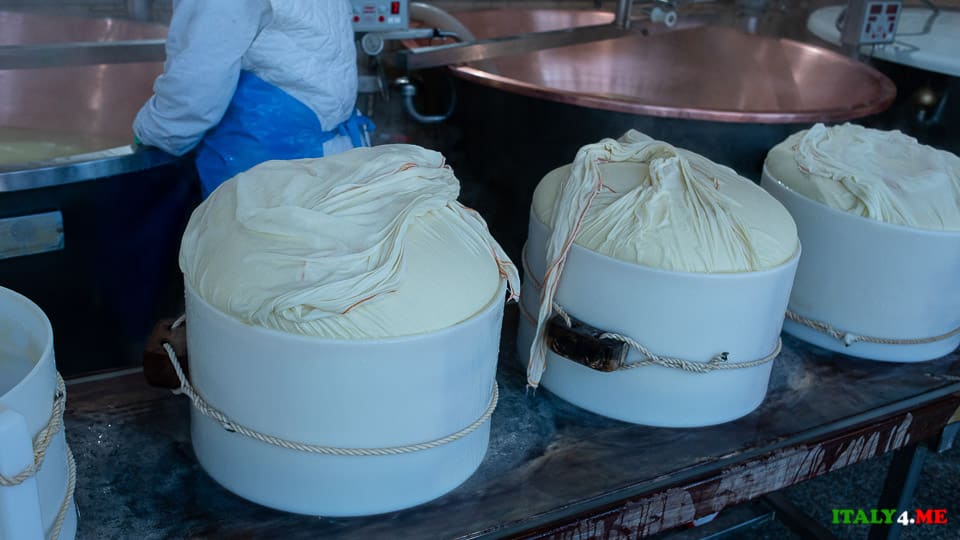 Parmesan in 25kg(55 lbs) molds at a cheese factory in Italy
