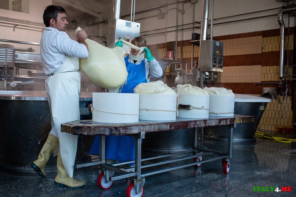 Whey extraction at Parmesan production in Italy