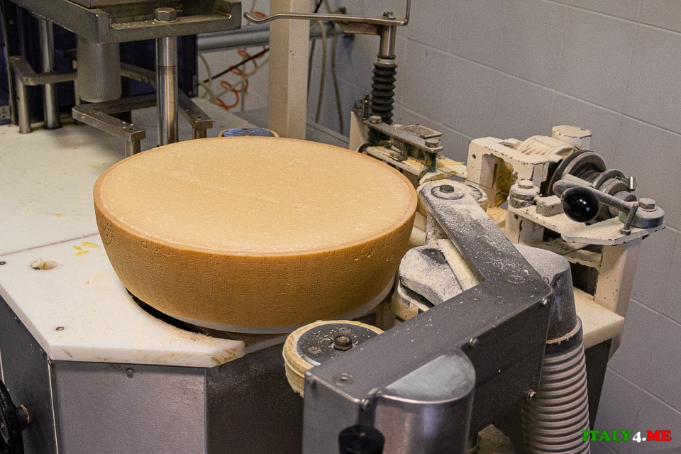 Head of Parmesan 25 kg cut in half