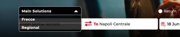 choice of train type on the official website of Trenitalia