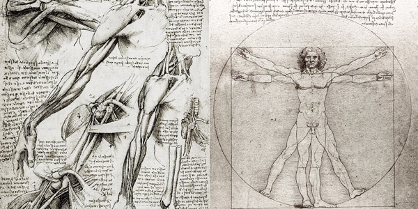 Anatomical drawings of Leonardo da Vinci museum in Venice