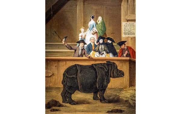 painting "Rhinoceros" by Pietro Longhi in the museum of art of the XVIII century in Venice
